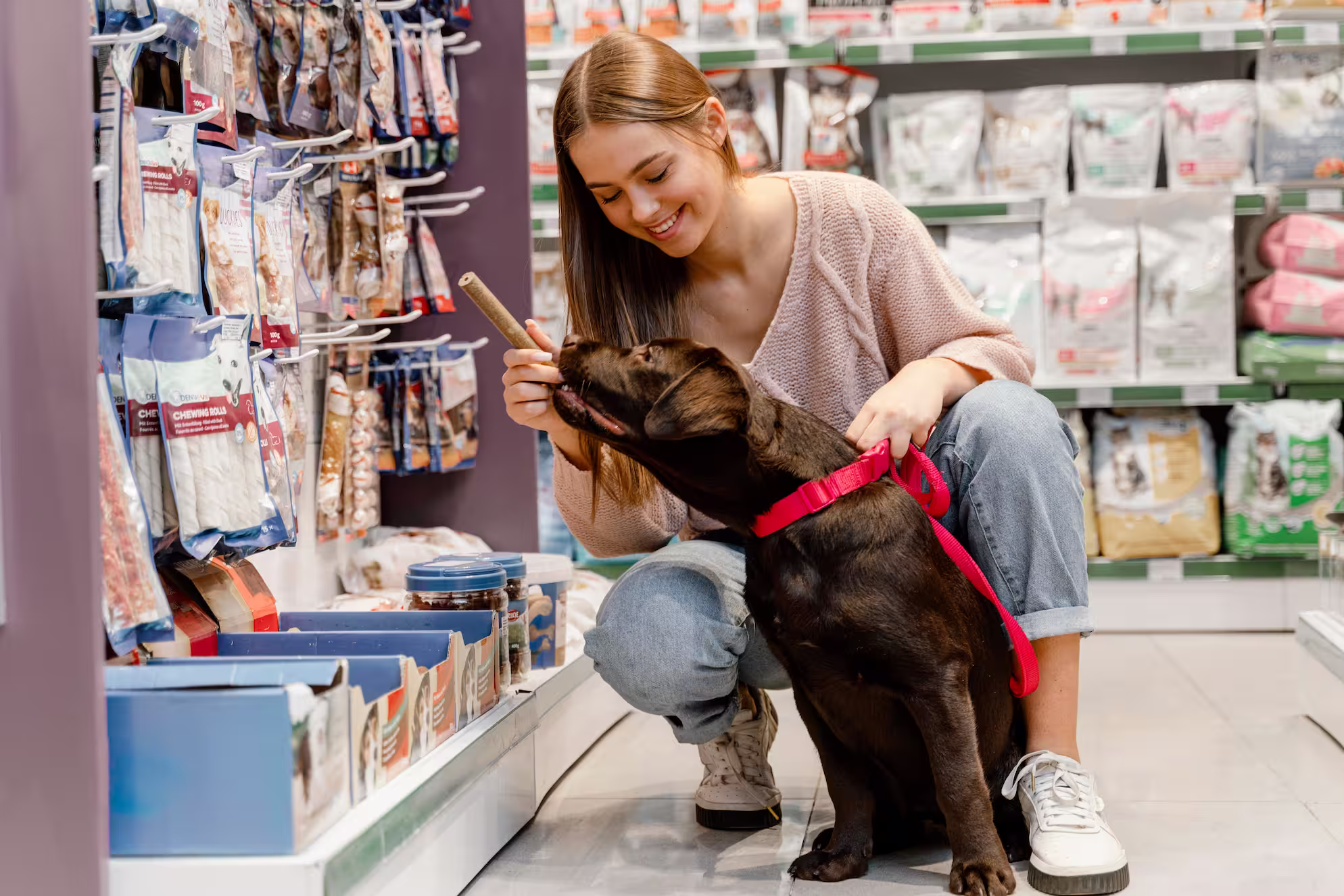 Cierra más ventas en tu tienda para mascotas con el CRM para WhatsApp de Avify